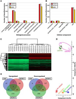 Quantitative Proteome Profiling of Coxiella burnetii Reveals Major Metabolic and Stress Differences Under Axenic and Cell Culture Cultivation